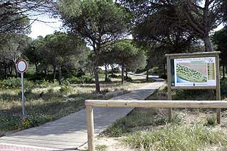 Parque Periurbano  La Barrosa